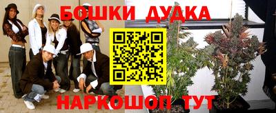 шишки Кимры