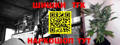 шишки Кимры