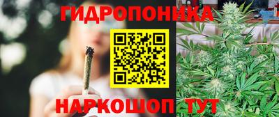 винт Кингисепп