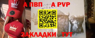 шишки Кимры